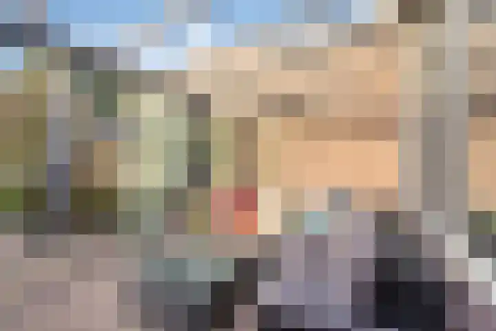 Wouwerbroek 54 Rijen thumbnail 6