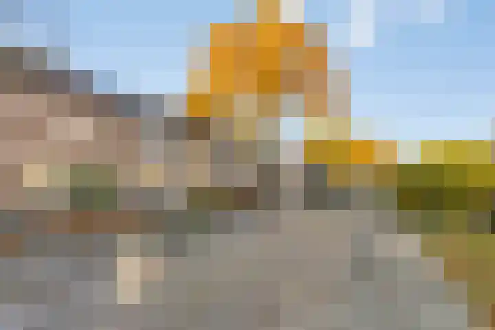 Wouwerbroek 54 Rijen thumbnail 8