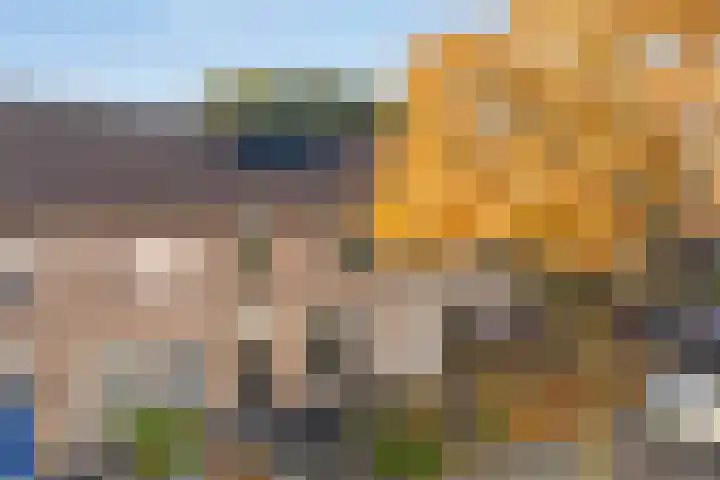 Wouwerbroek 54 Rijen thumbnail 9