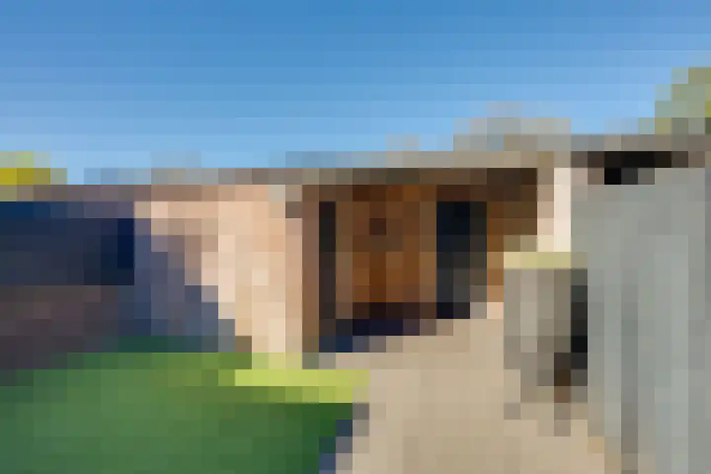 Wouwerbroek 58 Rijen thumbnail 49