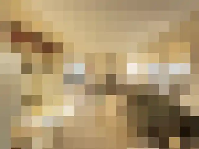 Wouwerdries 22 Hilvarenbeek thumbnail 10