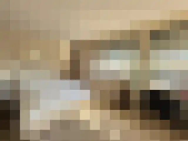 Wouwerdries 22 Hilvarenbeek thumbnail 15