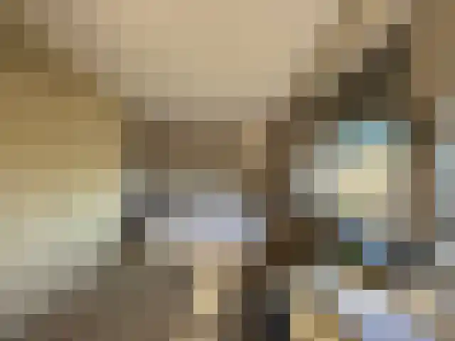 Wouwerdries 22 Hilvarenbeek thumbnail 16