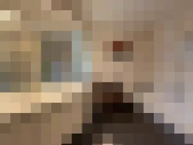 Wouwerdries 22 Hilvarenbeek thumbnail 18