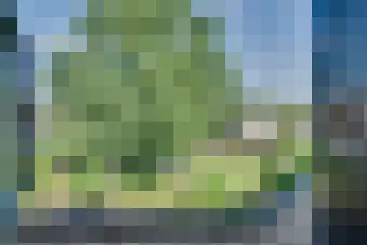 Wouwerdries 22 Hilvarenbeek thumbnail 21