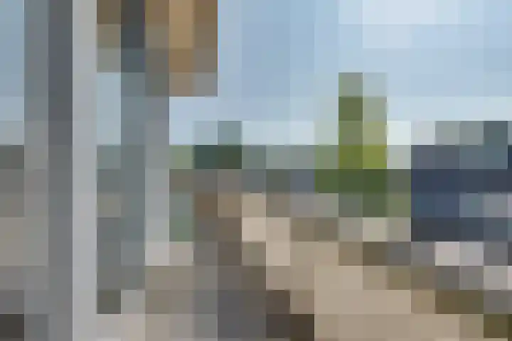 Wouwerdries 22 Hilvarenbeek thumbnail 22
