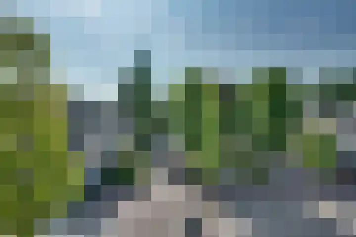 Wouwerdries 22 Hilvarenbeek thumbnail 24