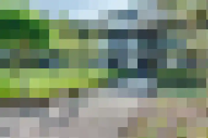 Wouwerdries 22 Hilvarenbeek thumbnail 26