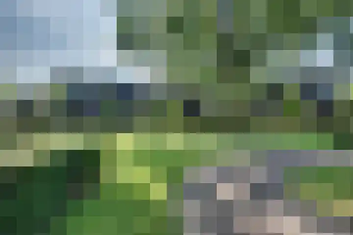 Wouwerdries 22 Hilvarenbeek thumbnail 4