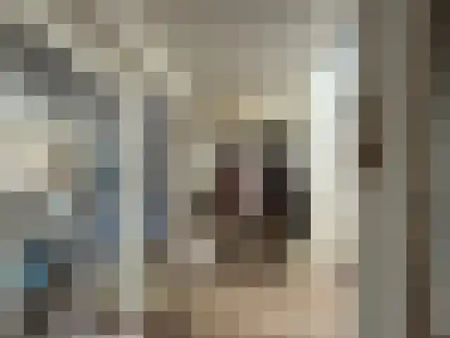 Wouwerdries 22 Hilvarenbeek thumbnail 7