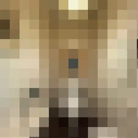 Wouwerdries 22 Hilvarenbeek thumbnail 8