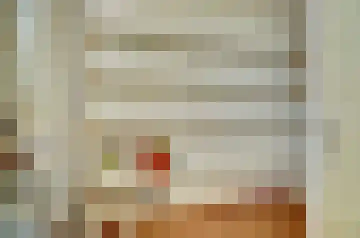 Wouwerdries 4 Hilvarenbeek thumbnail 12