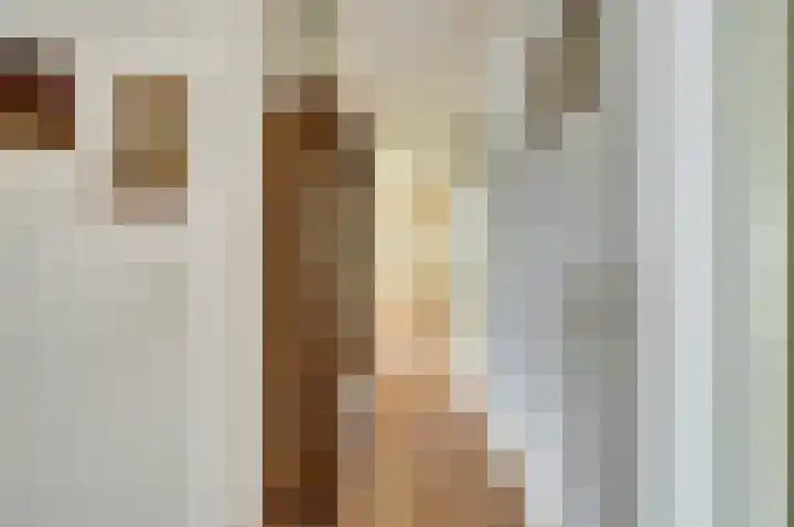 Wouwerdries 4 Hilvarenbeek thumbnail 13