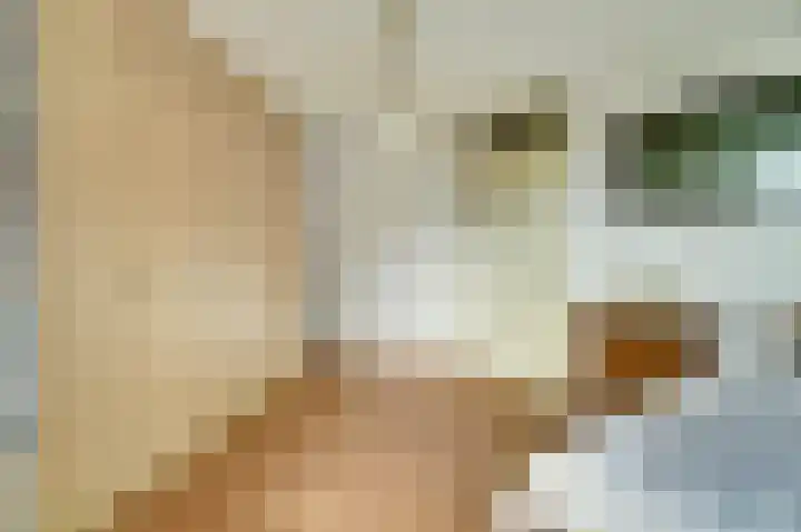 Wouwerdries 4 Hilvarenbeek thumbnail 15