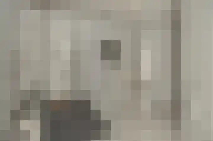 Wouwerdries 4 Hilvarenbeek thumbnail 16
