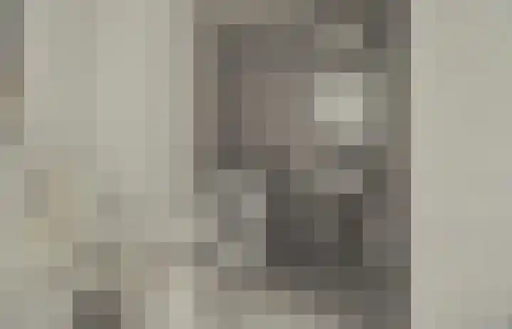 Wouwerdries 4 Hilvarenbeek thumbnail 17