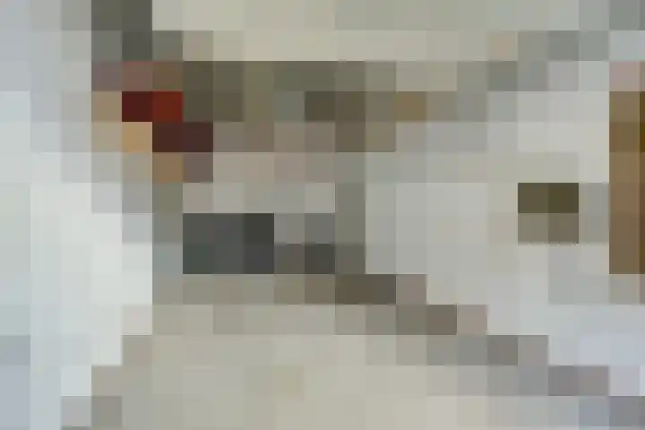 Wouwerdries 4 Hilvarenbeek thumbnail 22