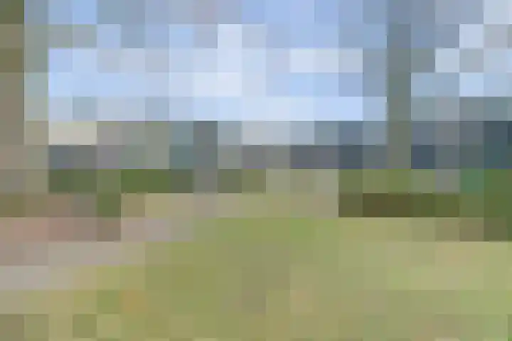 Wouwerdries 4 Hilvarenbeek thumbnail 24