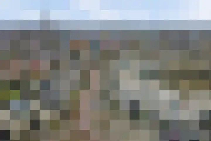 Wouwerdries 4 Hilvarenbeek thumbnail 26