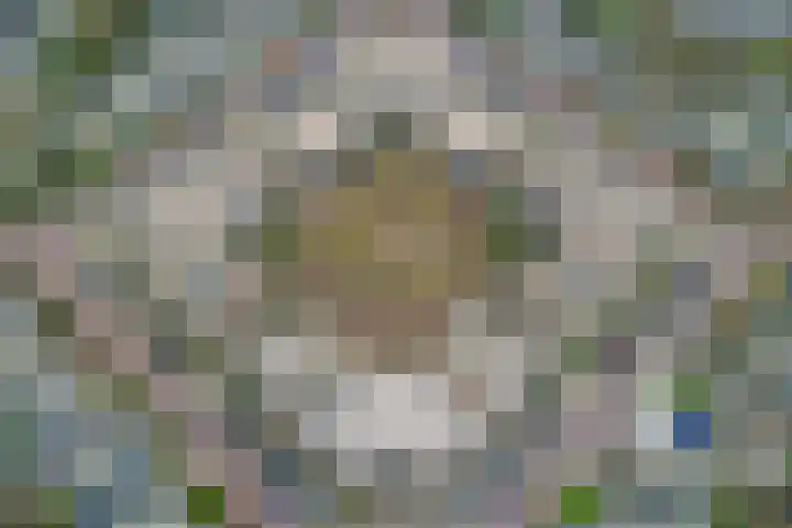 Wouwerdries 4 Hilvarenbeek thumbnail 27