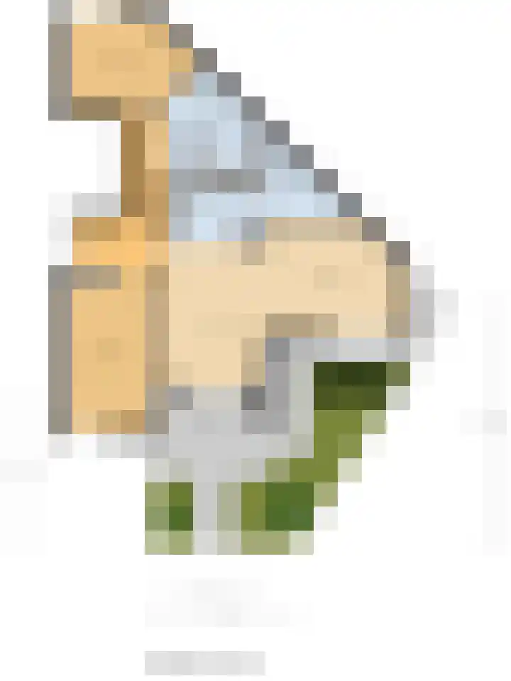 Wouwerdries 4 Hilvarenbeek thumbnail 28