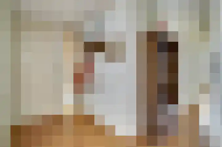 Wouwerdries 4 Hilvarenbeek thumbnail 4