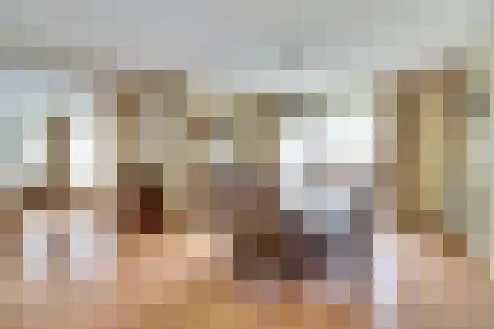 Wouwerdries 4 Hilvarenbeek thumbnail 5