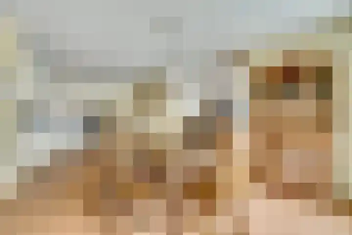 Wouwerdries 4 Hilvarenbeek thumbnail 8