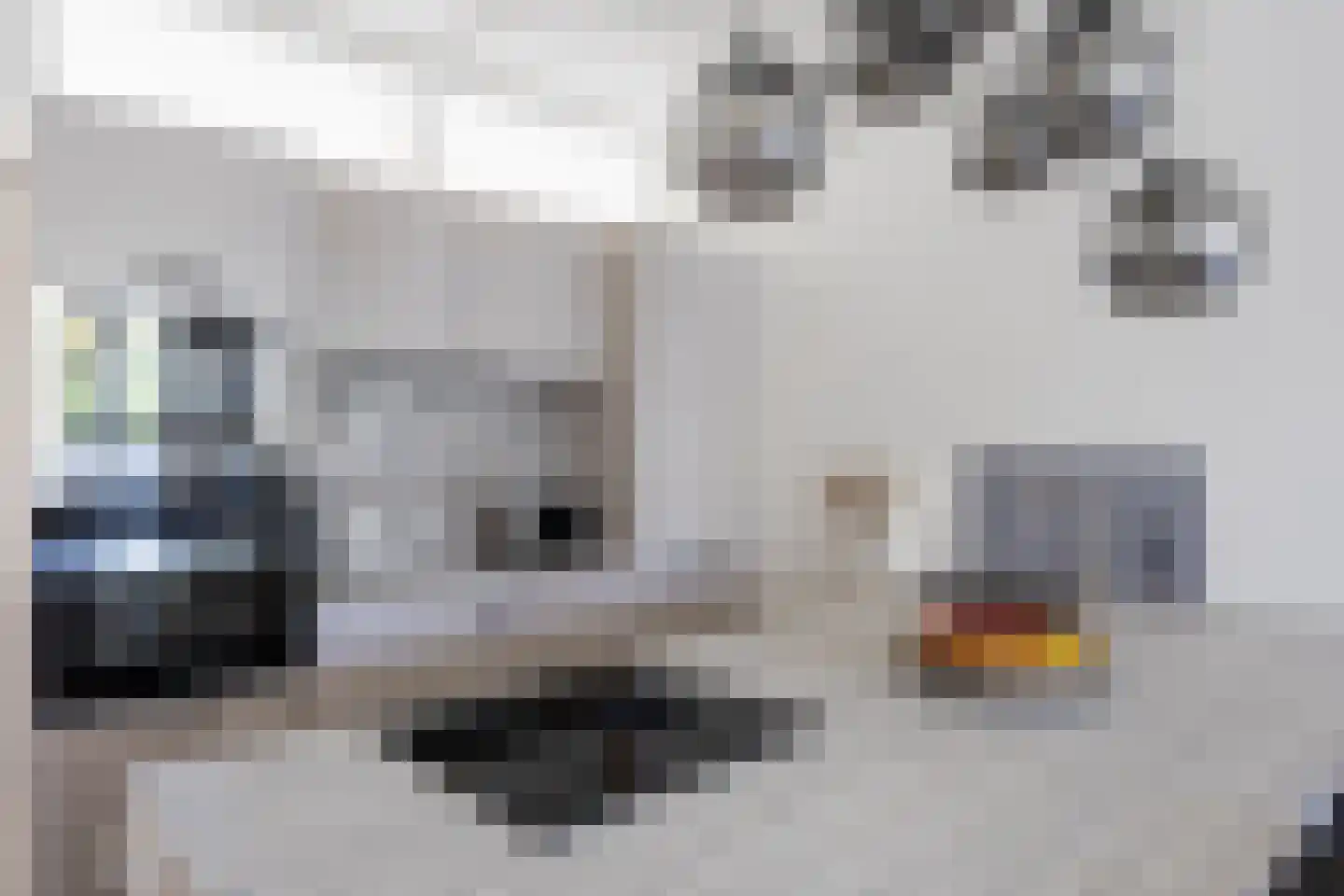 Wouwerlaan 21 B Rotterdam thumbnail 13