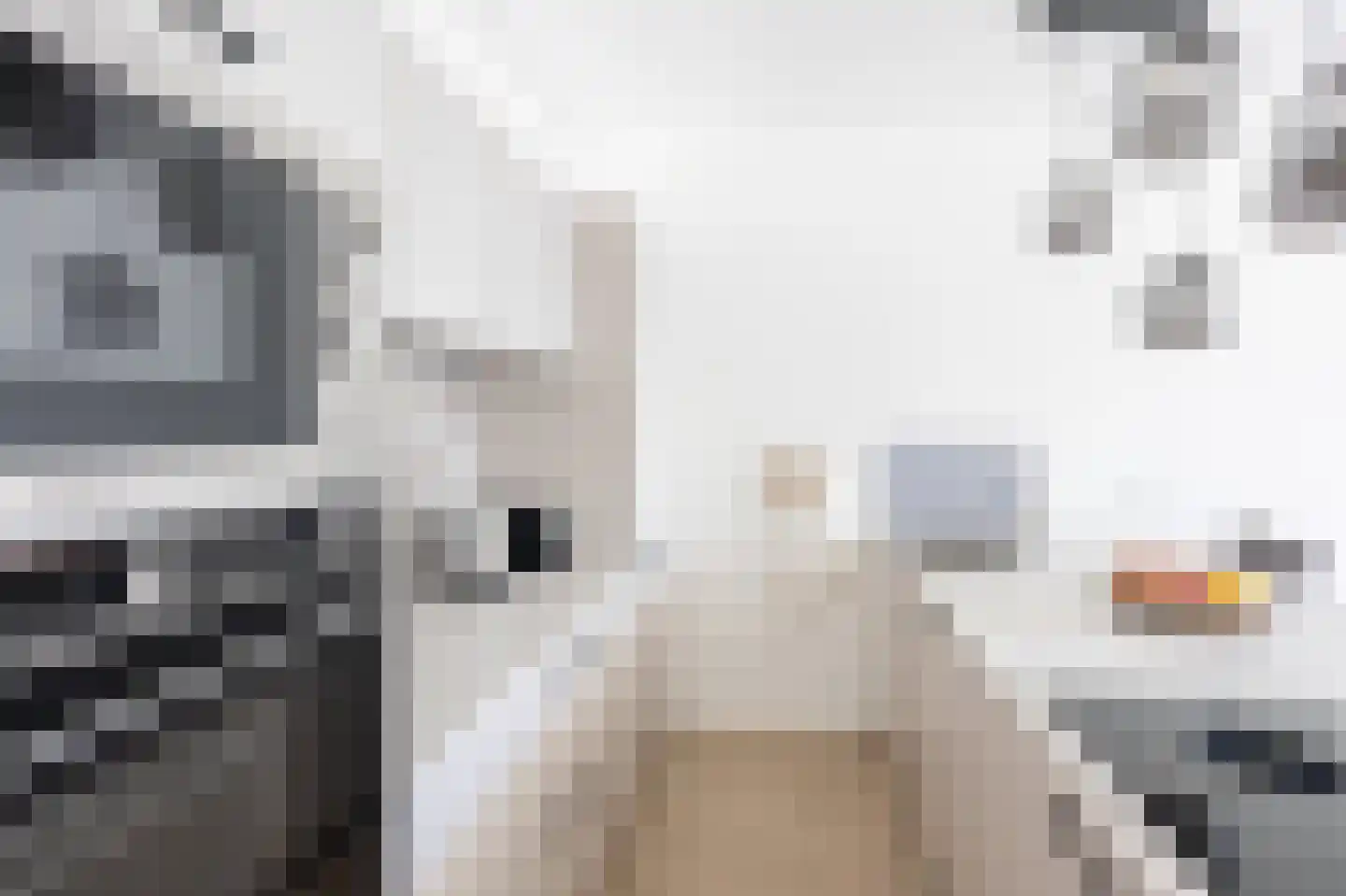 Wouwerlaan 21 B Rotterdam thumbnail 15
