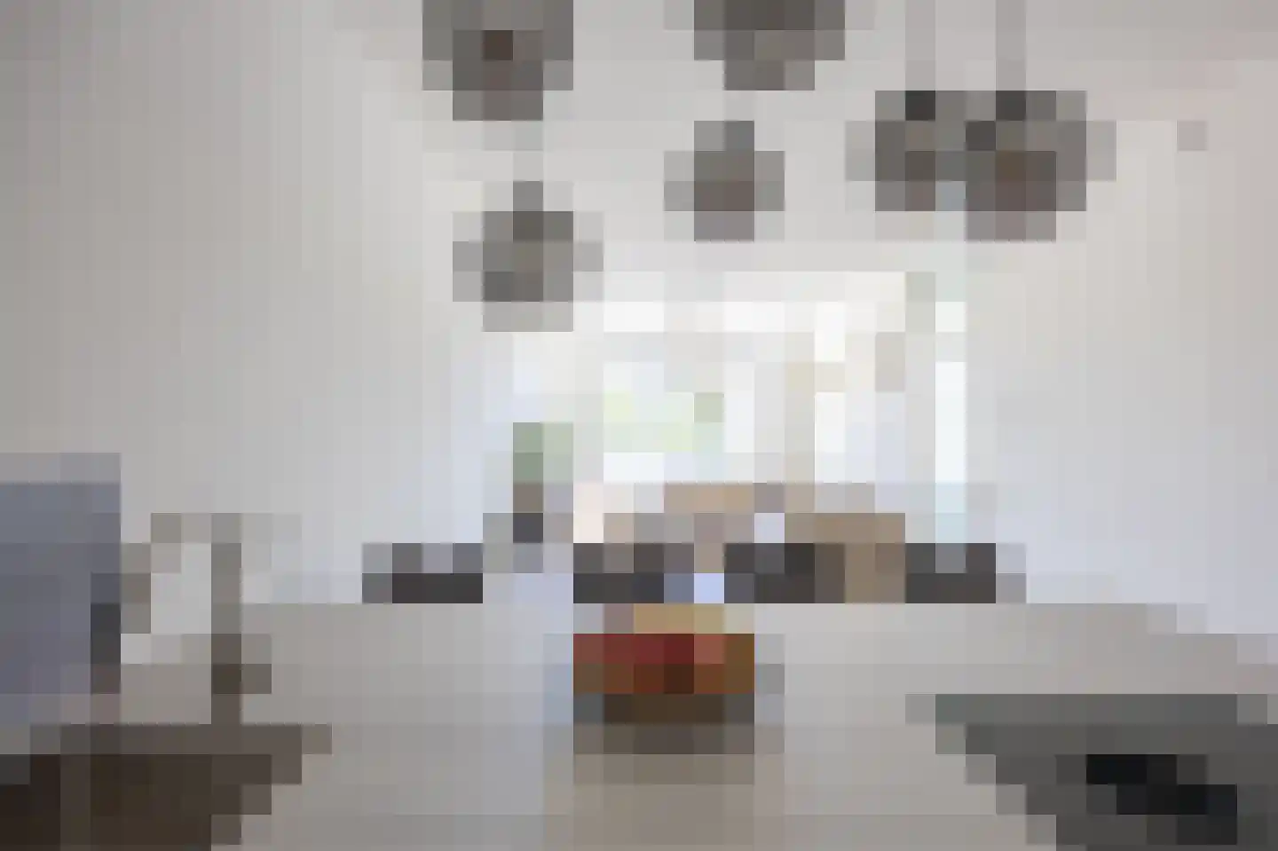 Wouwerlaan 21 B Rotterdam thumbnail 16