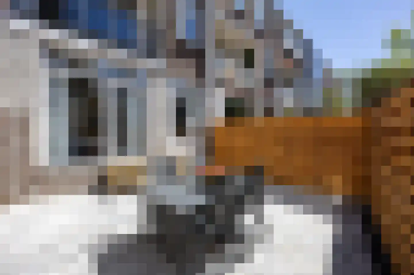 Wouwerlaan 21 B Rotterdam thumbnail 24
