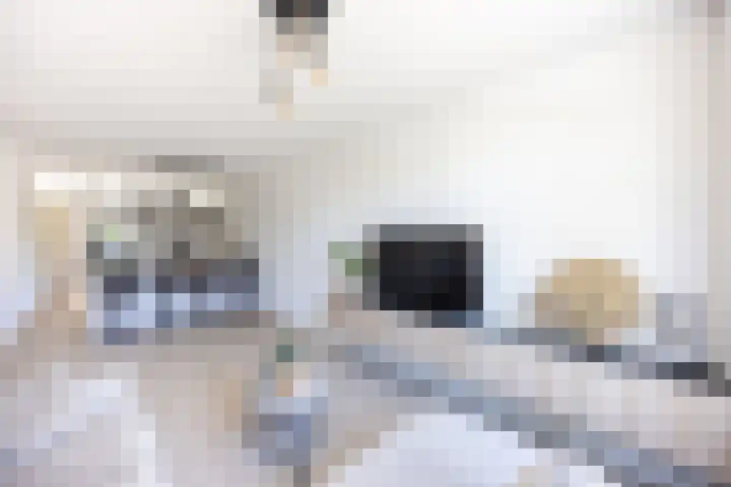 Wouwerlaan 21 B Rotterdam thumbnail 8