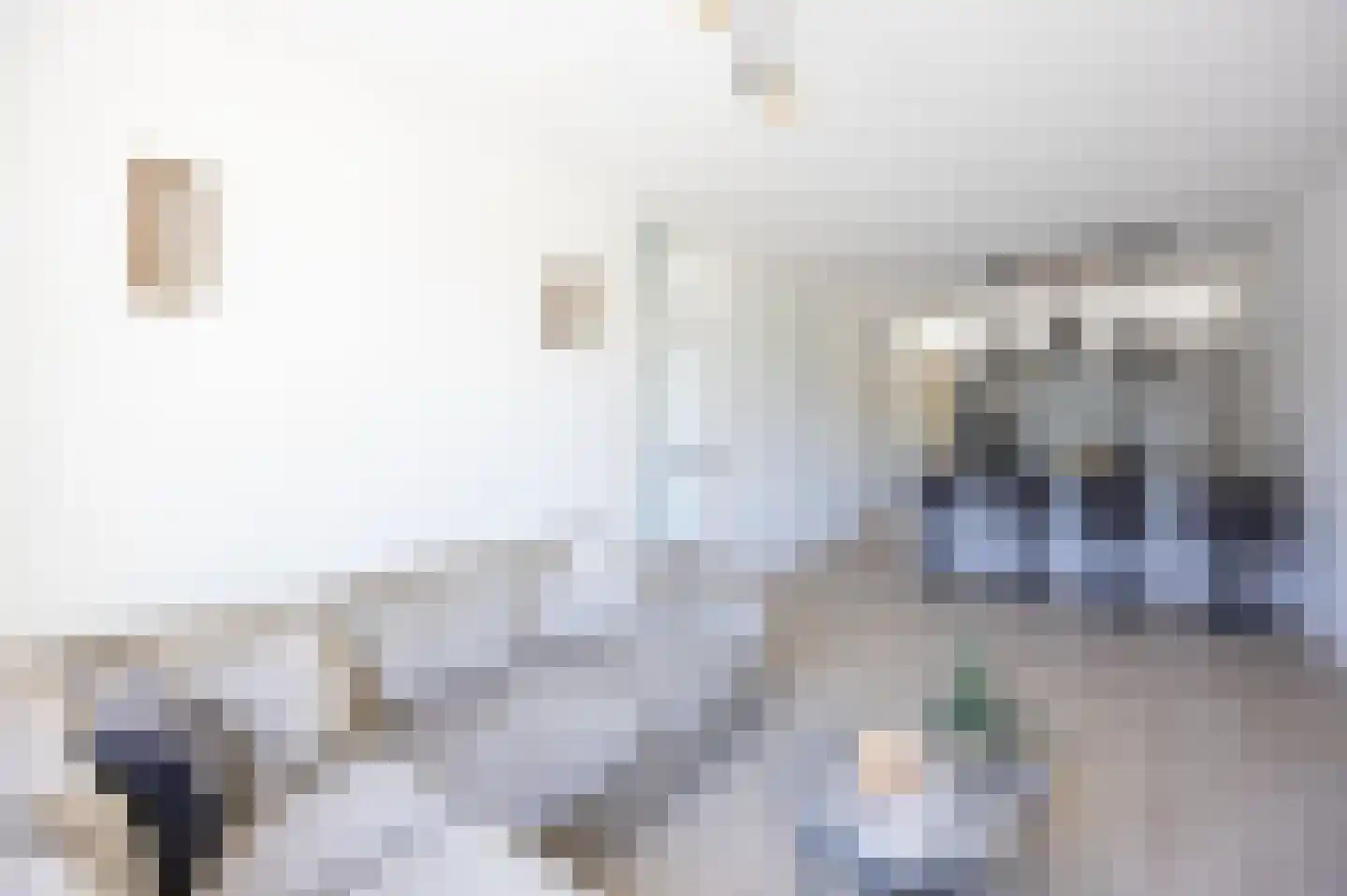 Wouwerlaan 21 B Rotterdam thumbnail 9