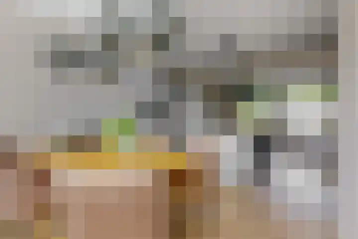 Wouwerlaan 26 Rotterdam thumbnail 12