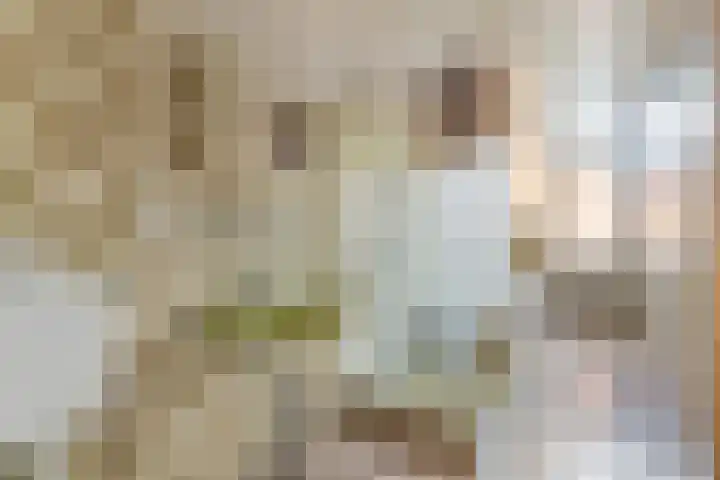 Wouwerlaan 26 Rotterdam thumbnail 12