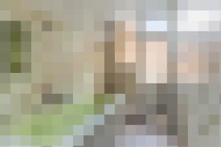 Wouwerlaan 26 Rotterdam thumbnail 13