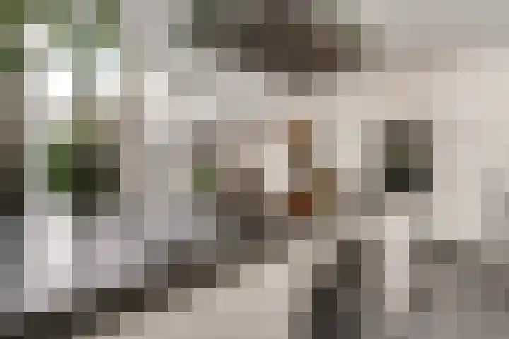 Wouwerlaan 26 Rotterdam thumbnail 16