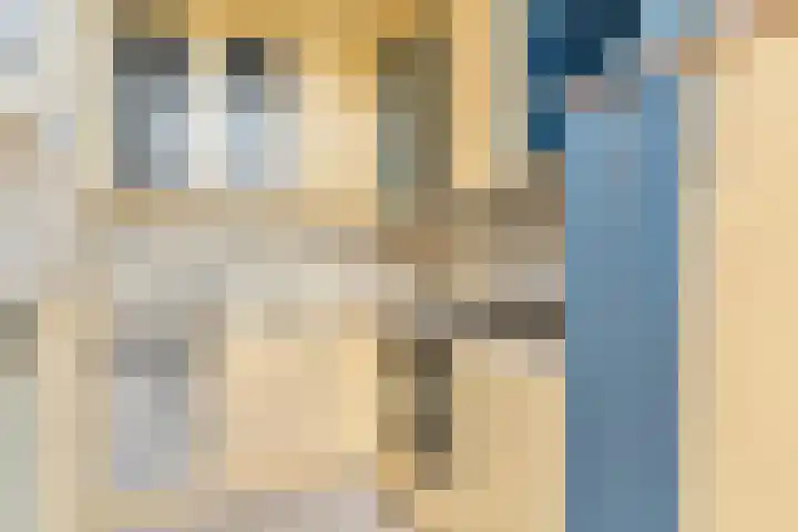 Wouwerlaan 26 Rotterdam thumbnail 17
