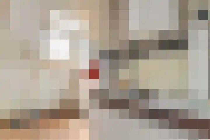 Wouwerlaan 26 Rotterdam thumbnail 22