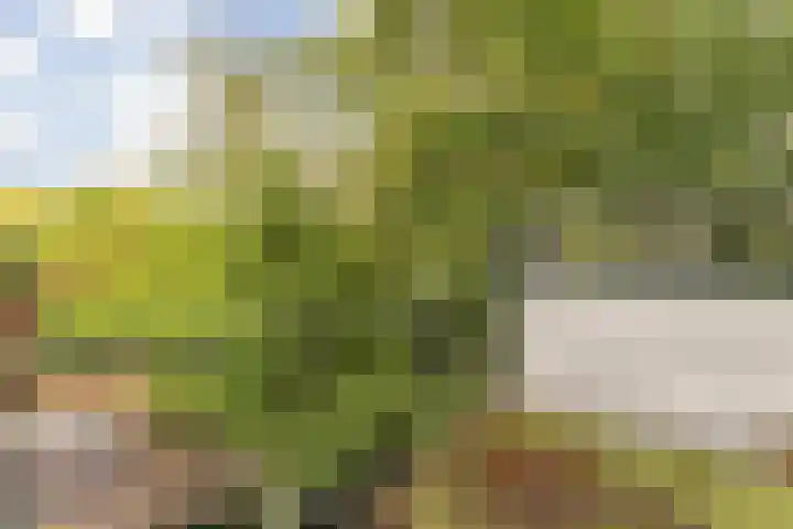 Wouwerlaan 26 Rotterdam thumbnail 4