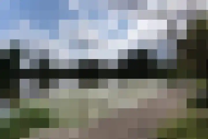 Wouwerlaan 26 Rotterdam thumbnail 5