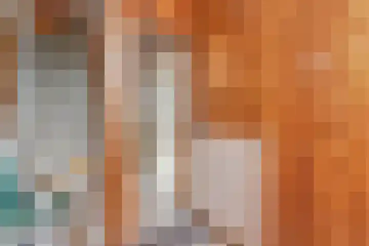 Wouwerlaan 26 Rotterdam thumbnail 7