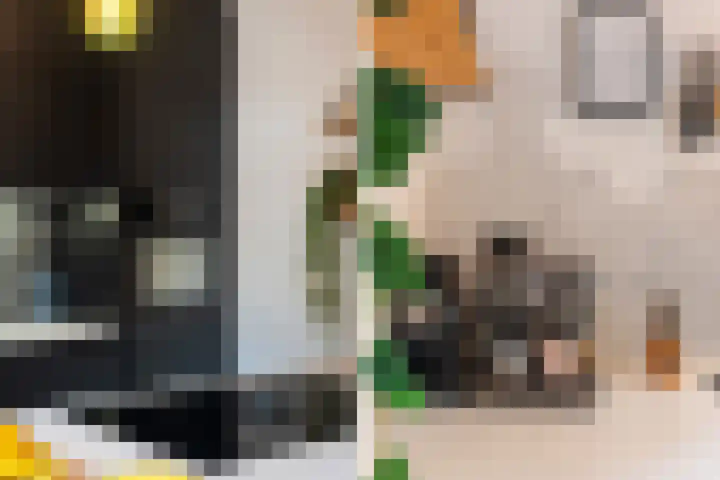 Wouwerlaan 3 Rotterdam thumbnail 12