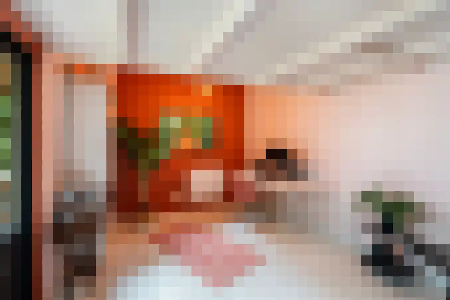 Wouwerlaan 3 Rotterdam thumbnail 20