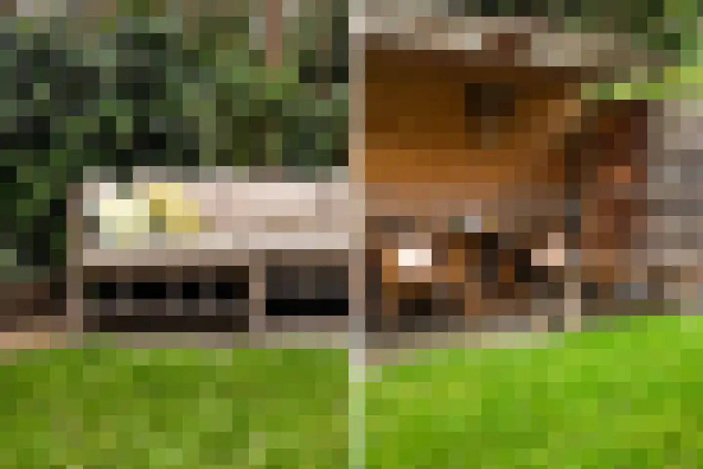 Wouwerlaan 3 Rotterdam thumbnail 22