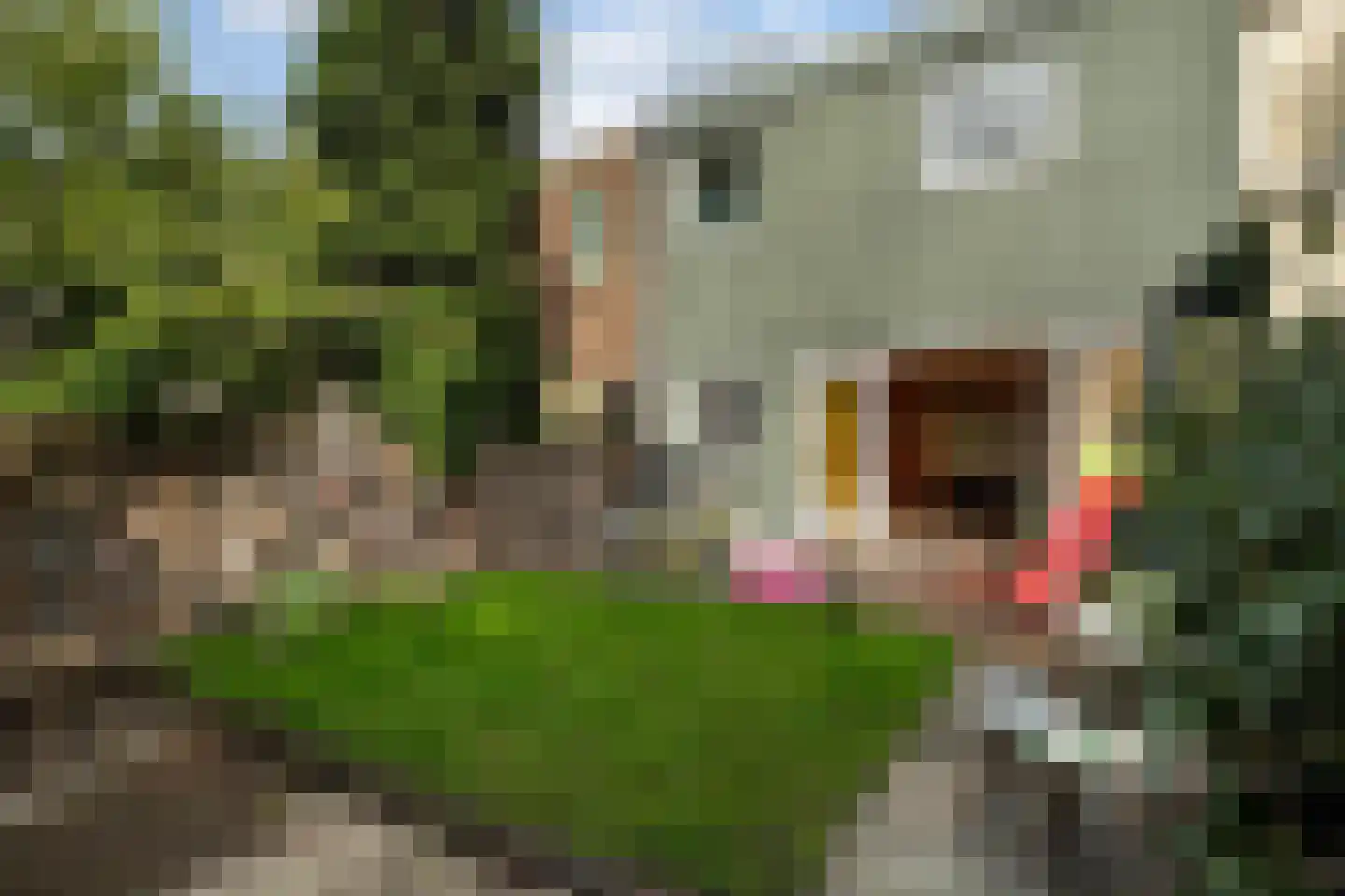 Wouwerlaan 3 Rotterdam thumbnail 23