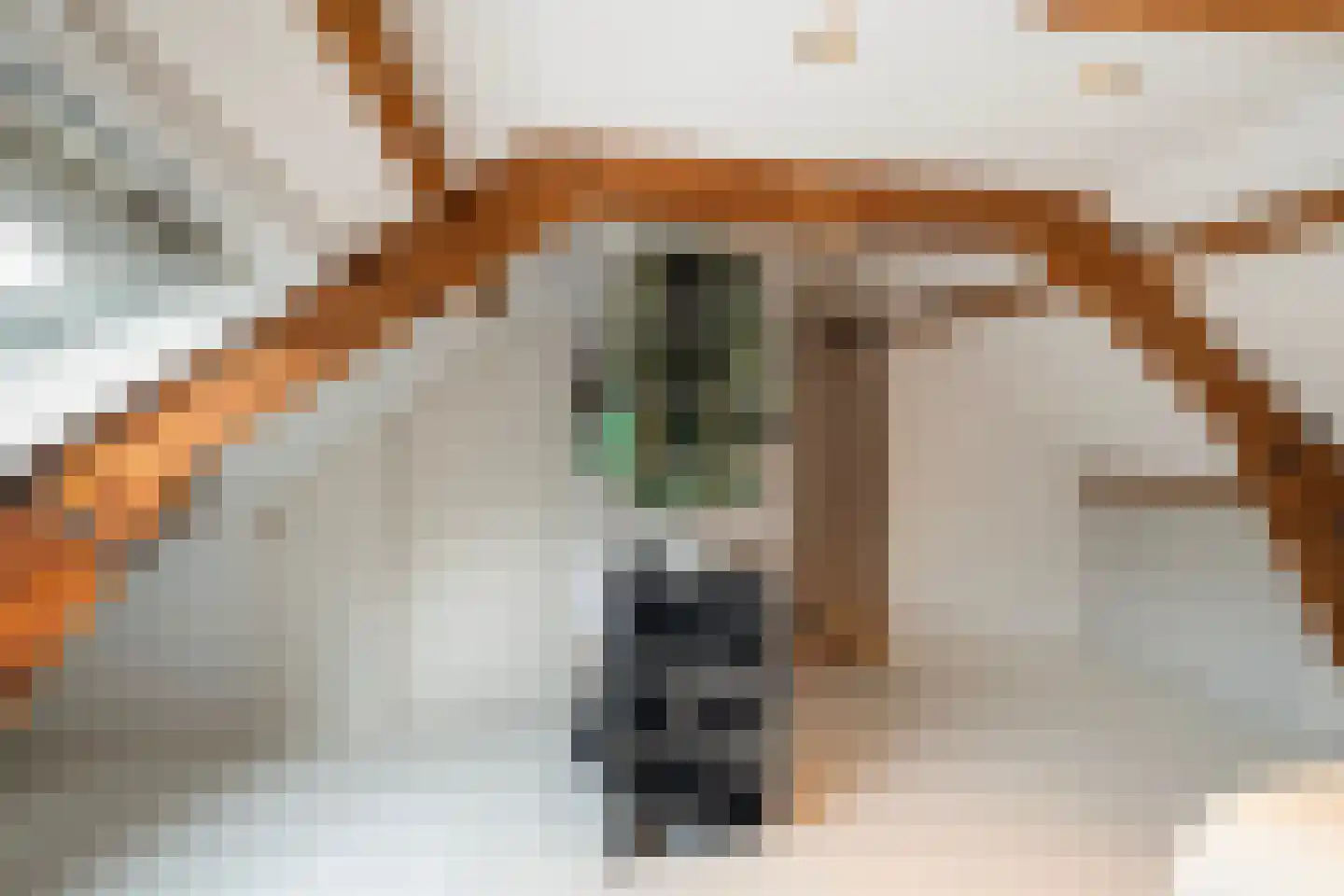 Wouwerlaan 3 Rotterdam thumbnail 41
