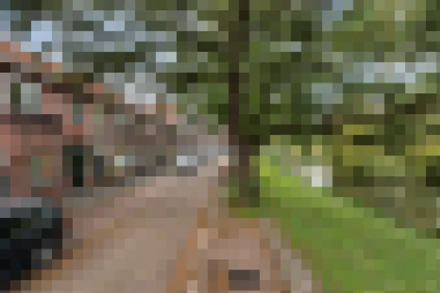 Wouwerlaan 3 Rotterdam thumbnail 46