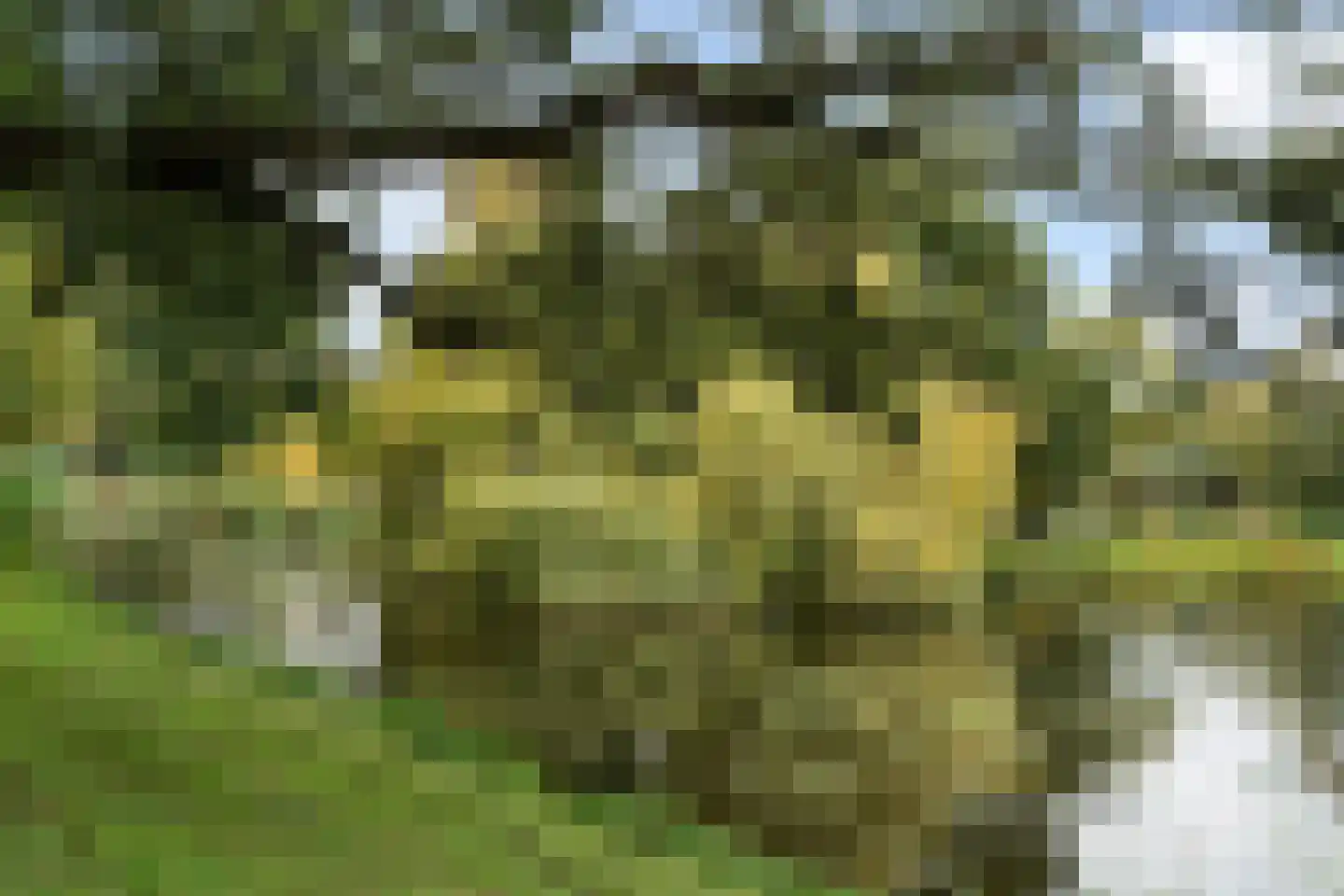 Wouwerlaan 3 Rotterdam thumbnail 48